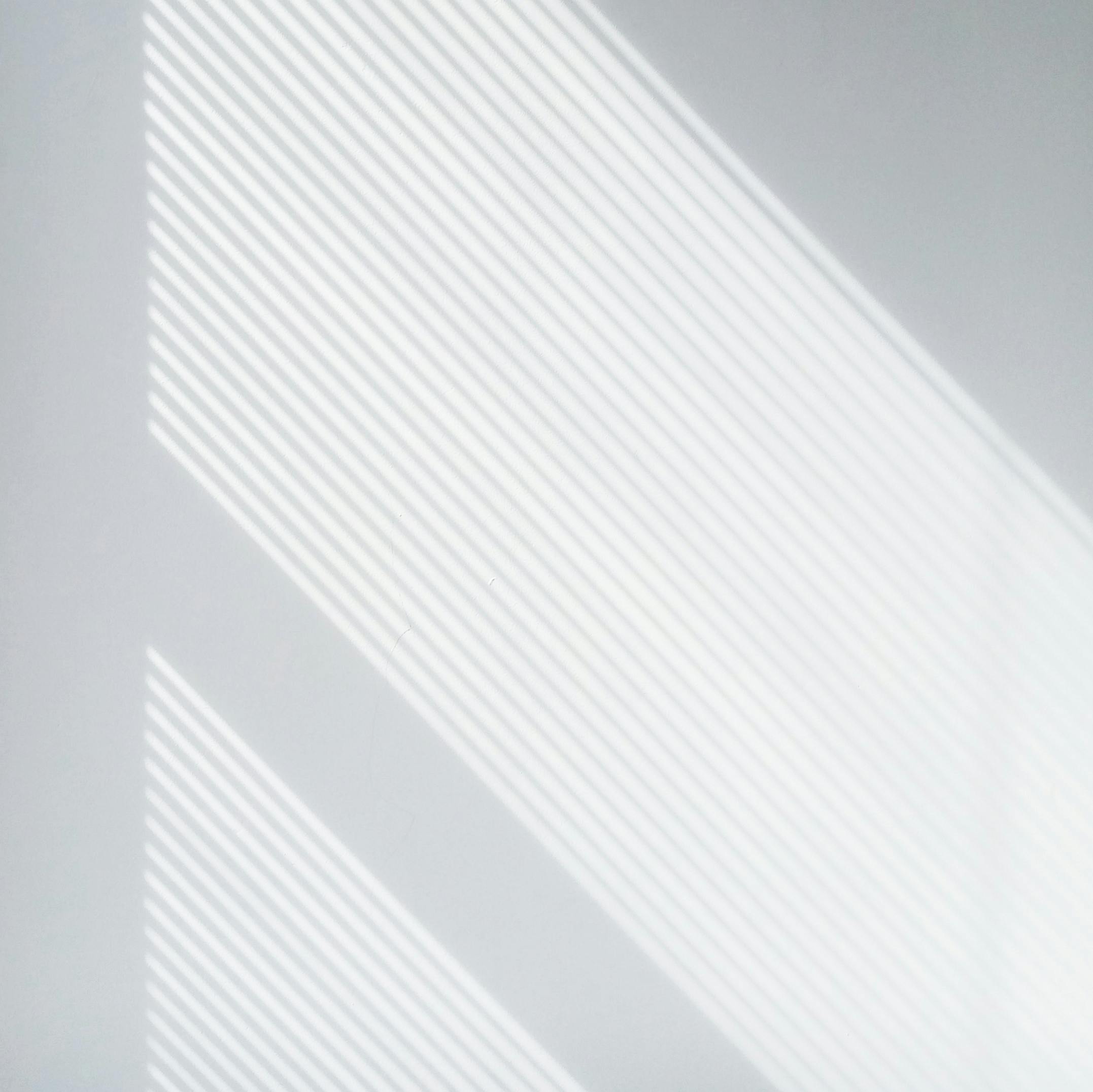 Soft natural light casting geometric shadows on a white wall, creating a minimalist aesthetic.